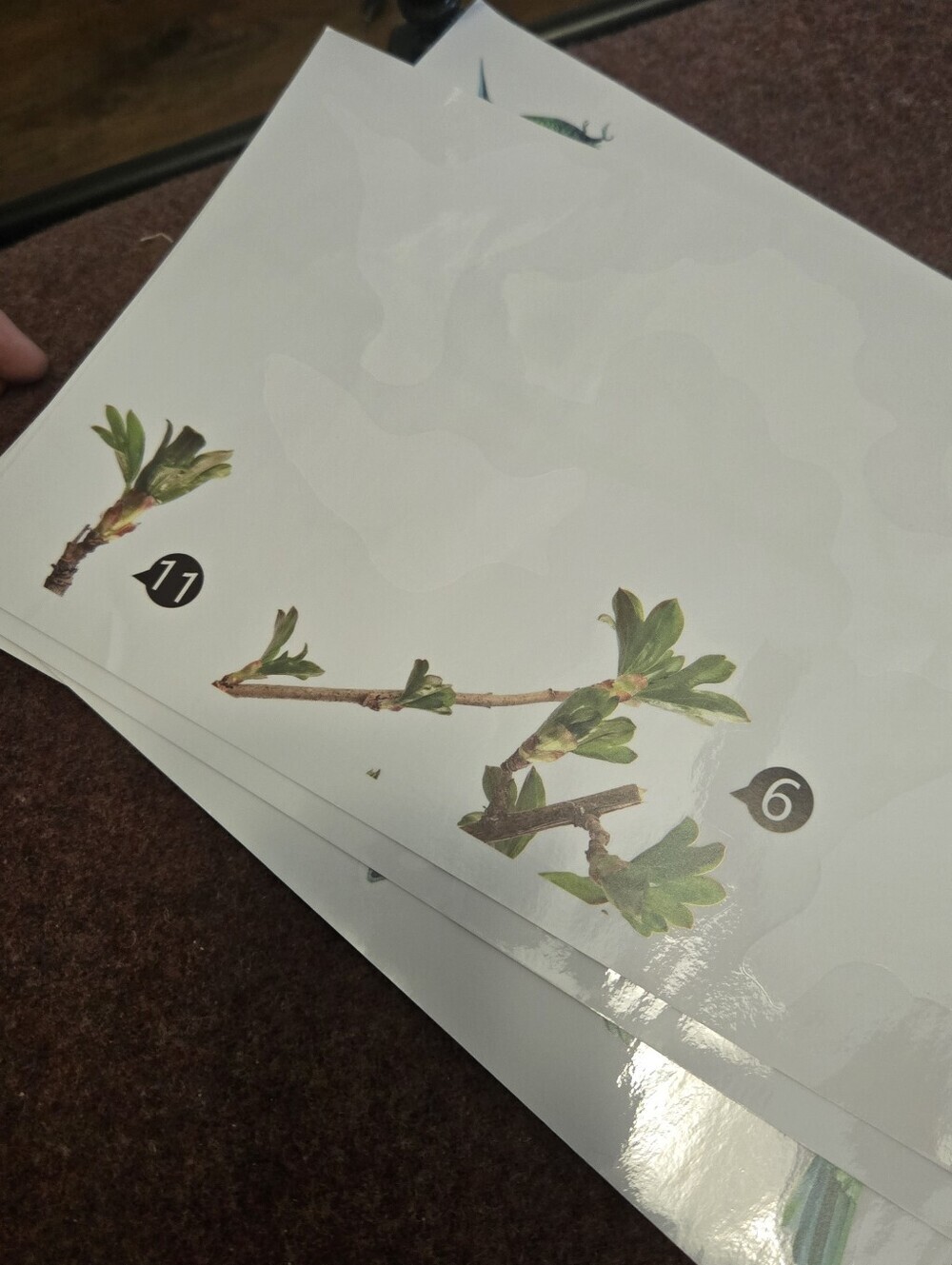 Bird & Branch Vinyl Window Clings Reusable No Adhesive - Picture 8 of 11
